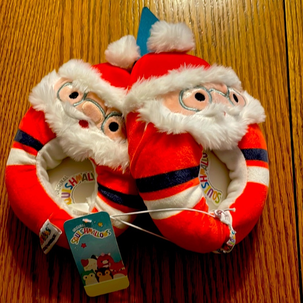 Santa Clause slippers Original squish melon